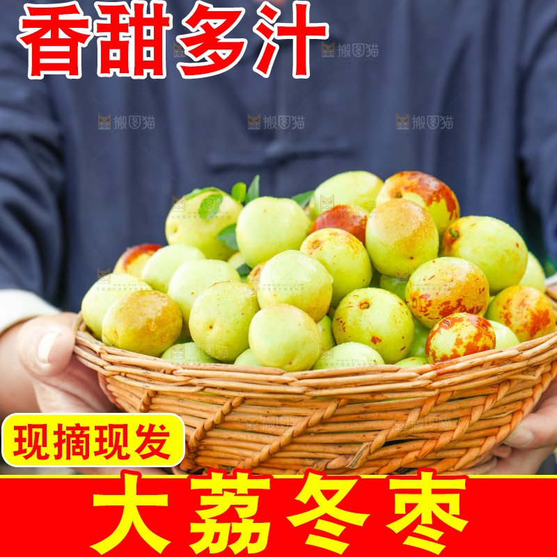 农民手上端着一篮新鲜冬枣