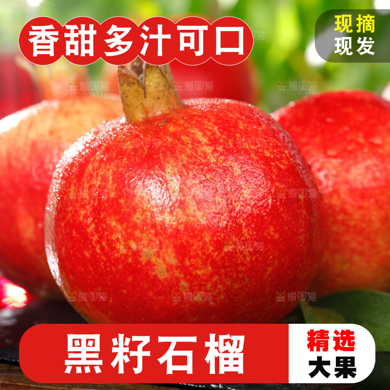 黑底上的红石榴