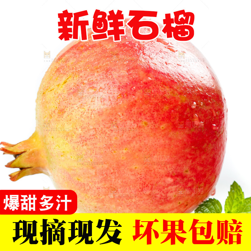 白底上的石榴
