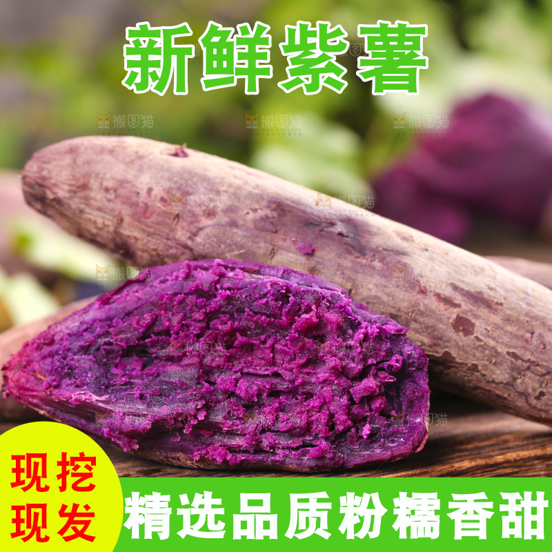 木底上的山东紫薯