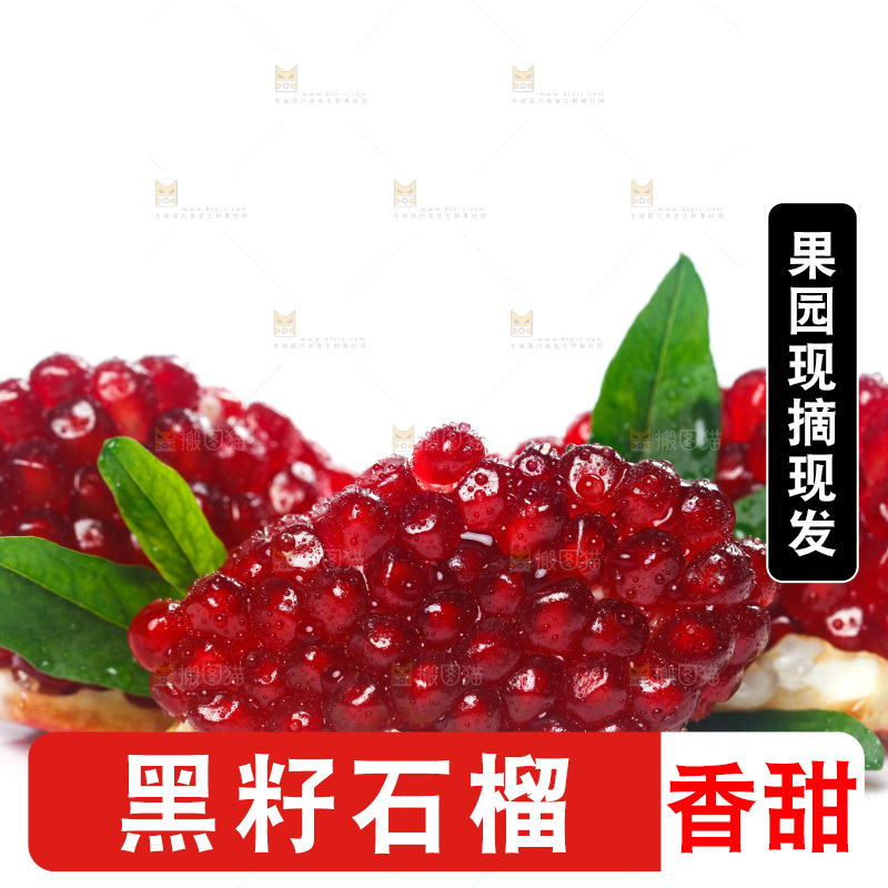 白底上的突尼斯软籽石榴