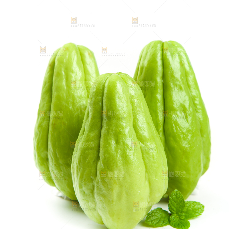 白底上的佛手瓜