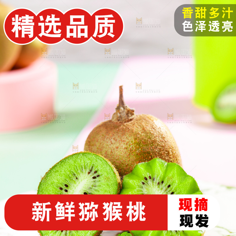 石盘里的秦岭猕猴桃