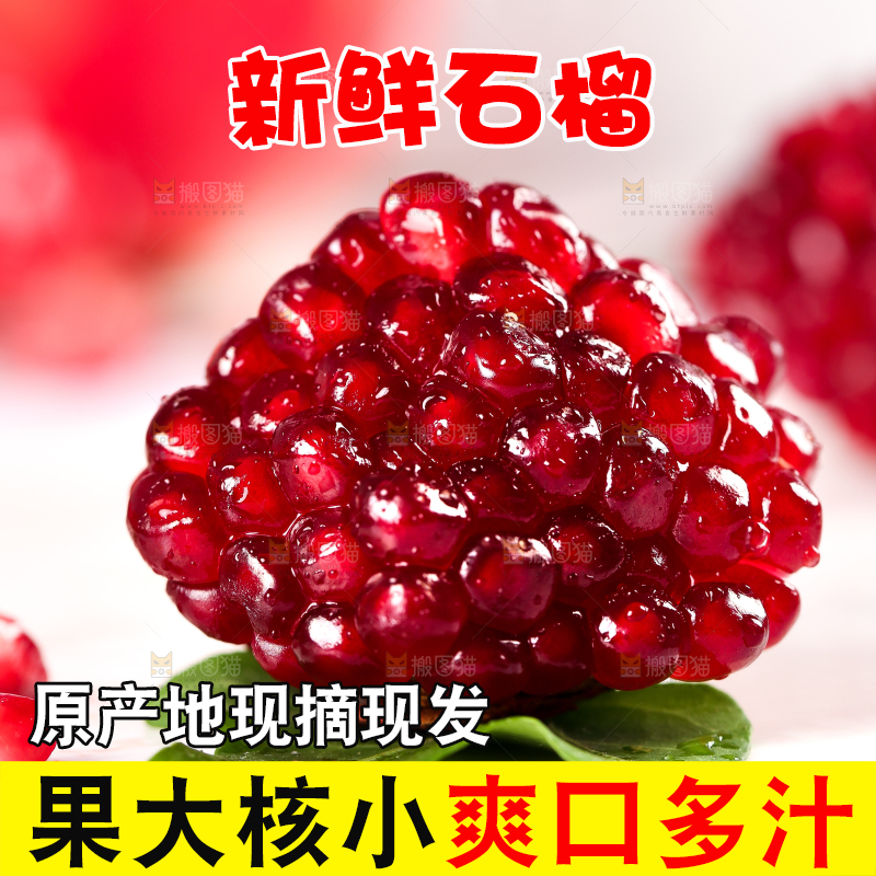 白石底上的软籽红石榴