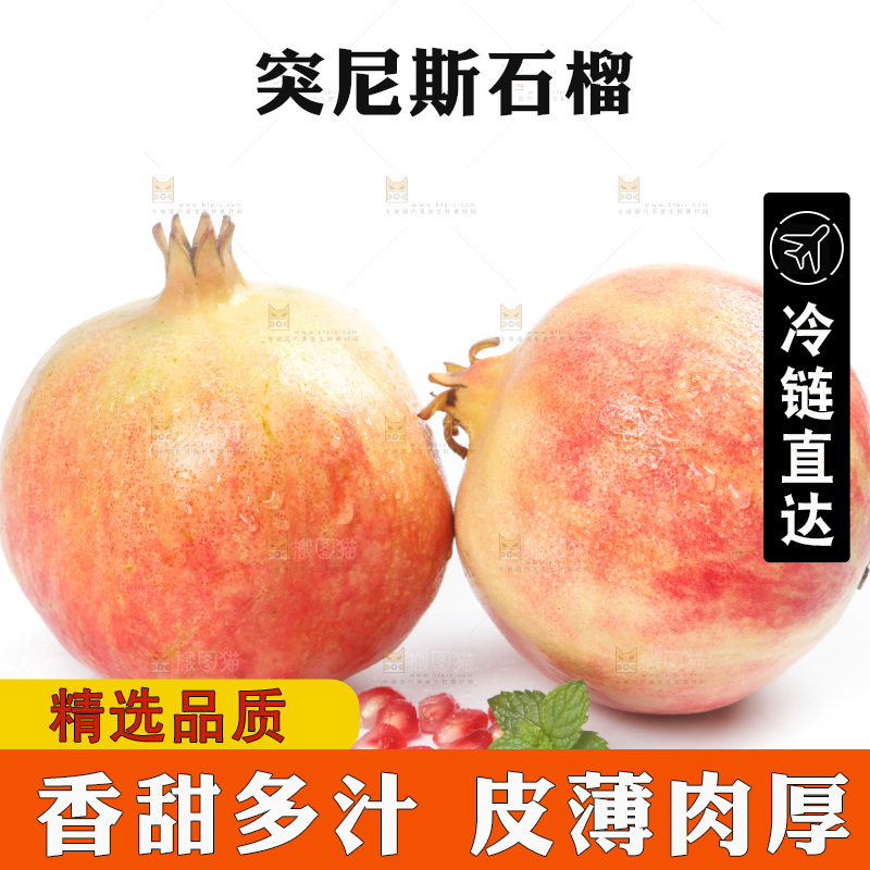 白底上的粉色石榴