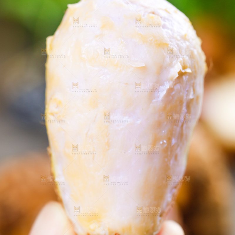 手上拿着小芋头