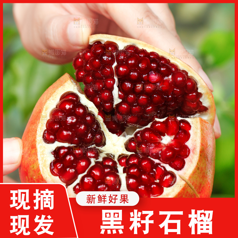 手上拿着软籽石榴
