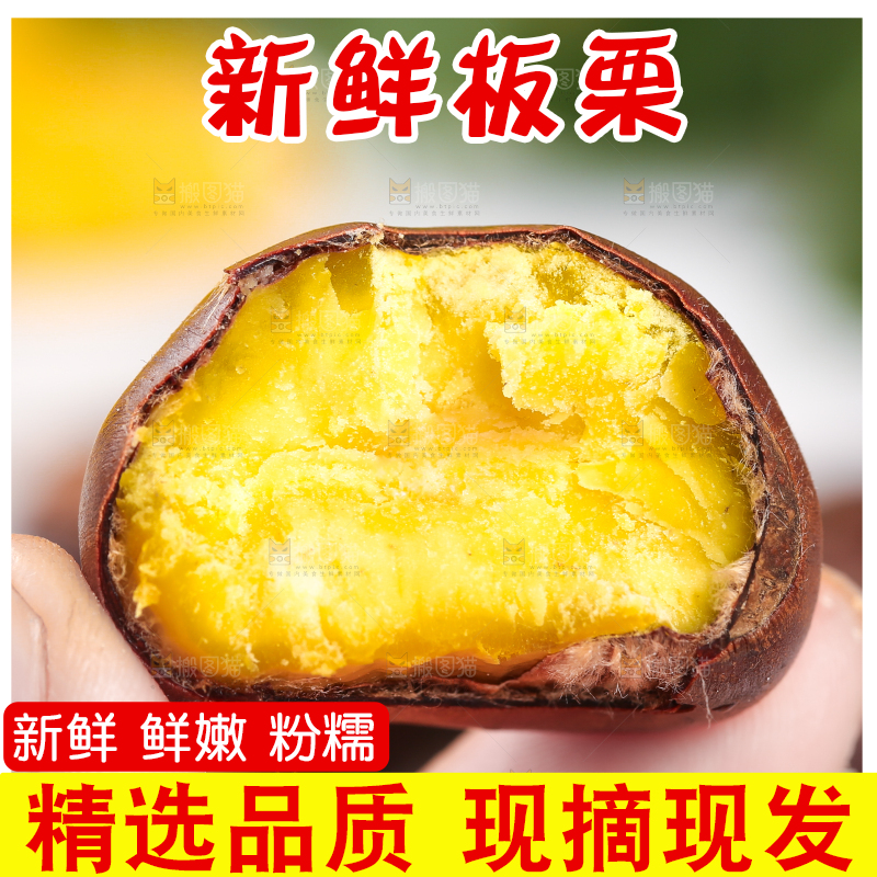 手上拿着熟的板栗