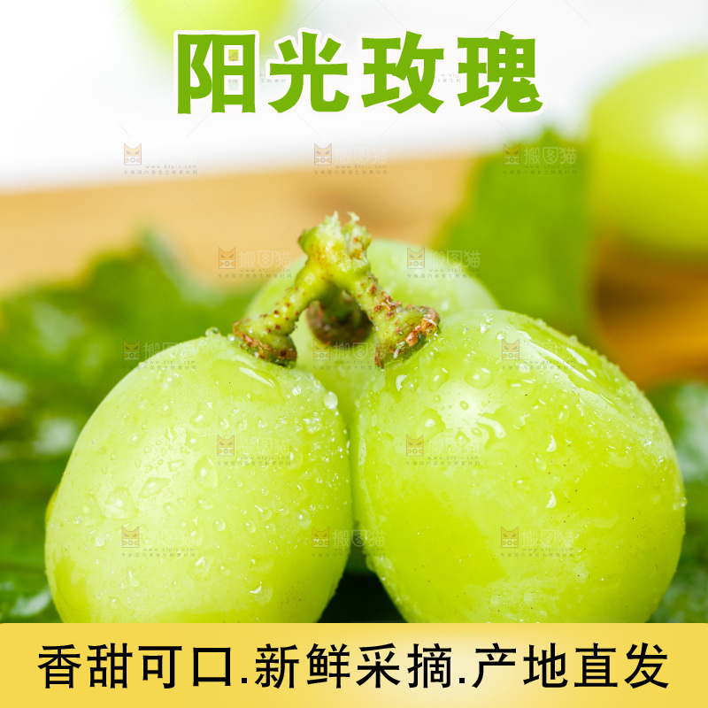 木底上的晴王香印青提
