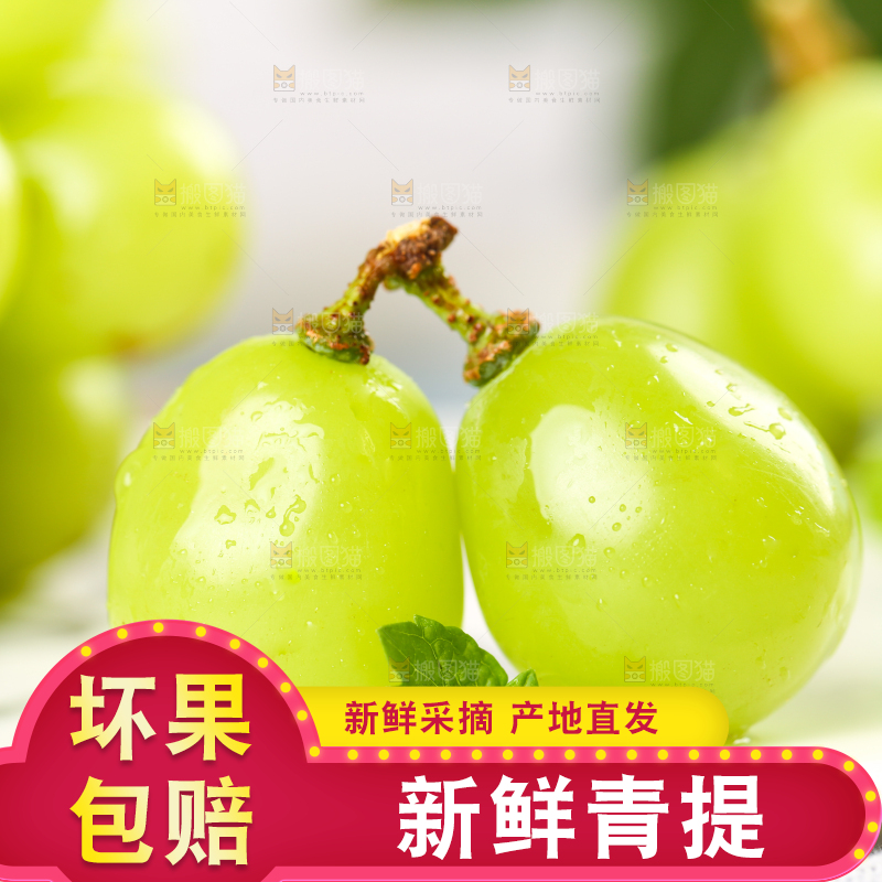 石盘里的无籽青提