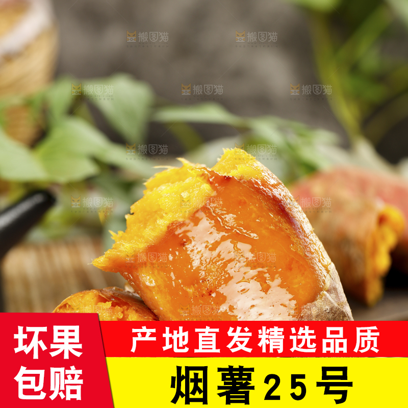 烟薯主图