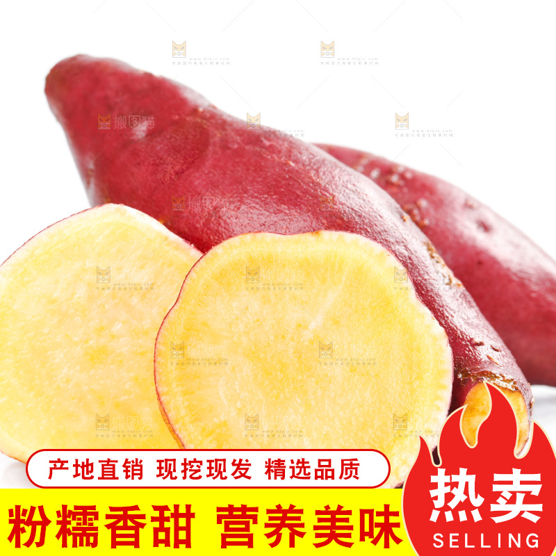 白底上的蜜薯