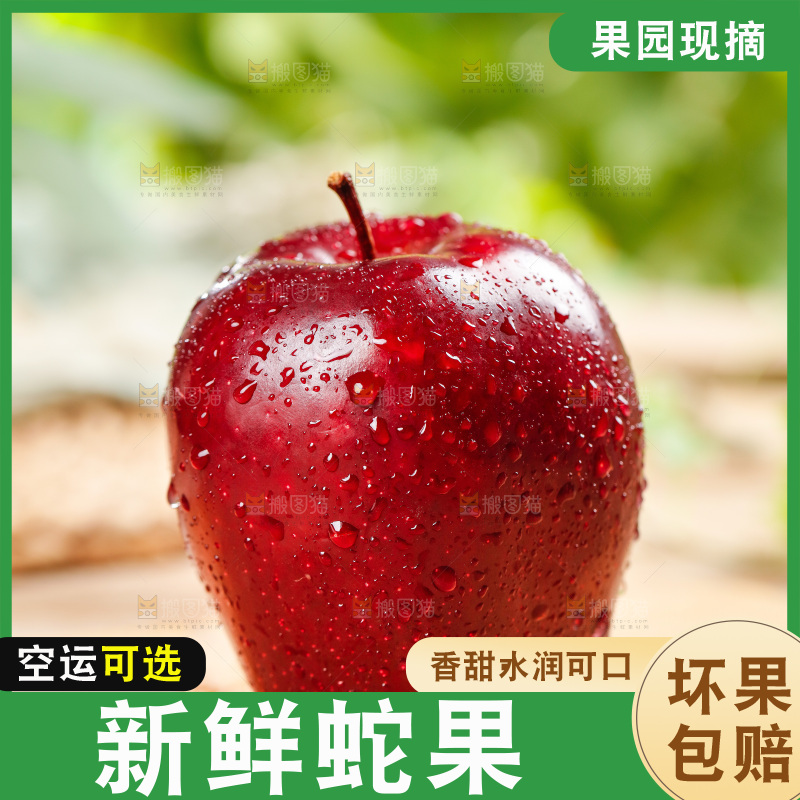 木底上的甘肃花牛苹果