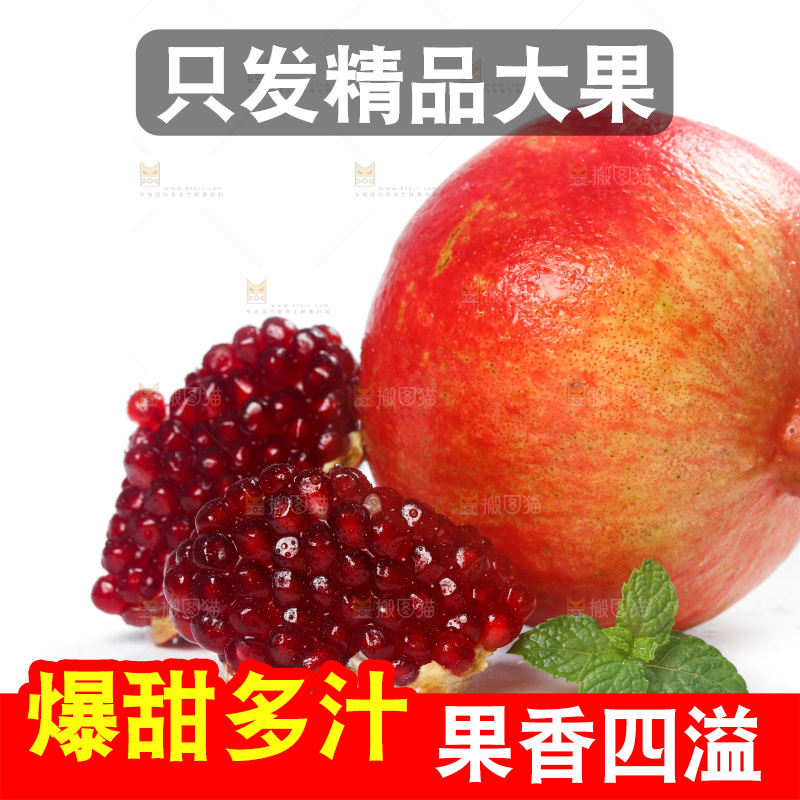 白底上的突尼斯软籽石榴