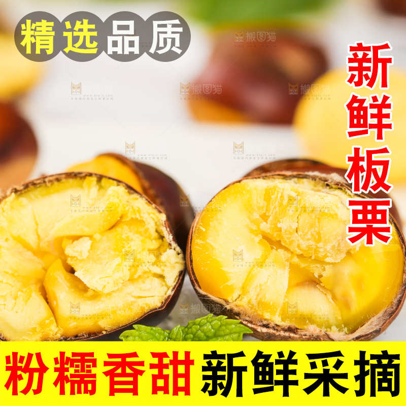 白底上熟的开口板栗