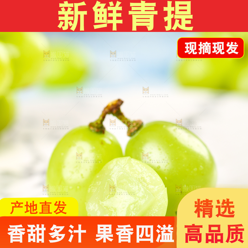 石盘里的无籽青提