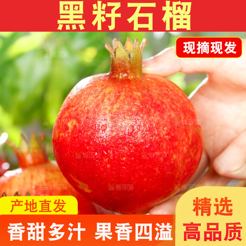 手上拿着红石榴