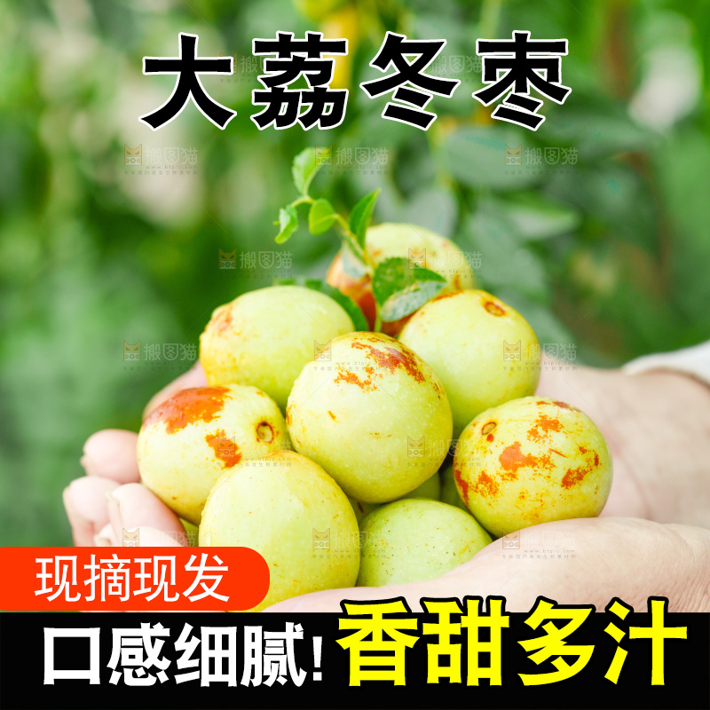 手上捧着新鲜的云南冬枣