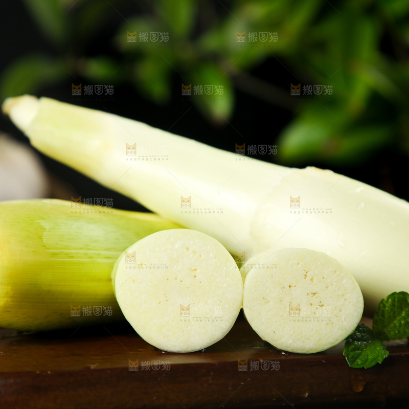 深木底上的茭儿菜菰