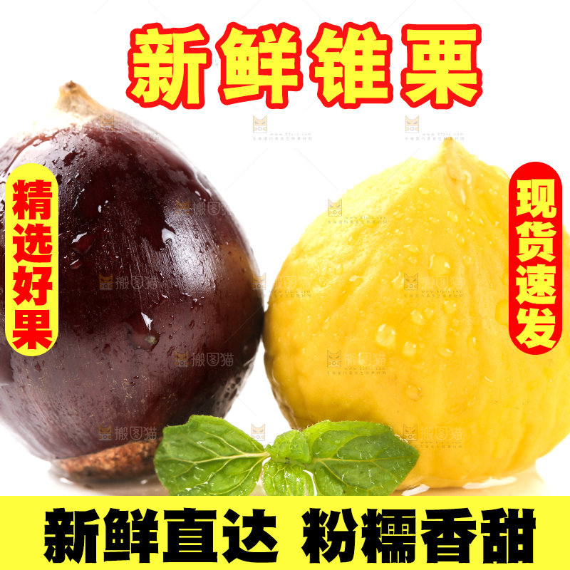 白底上的栗子和锥栗仁