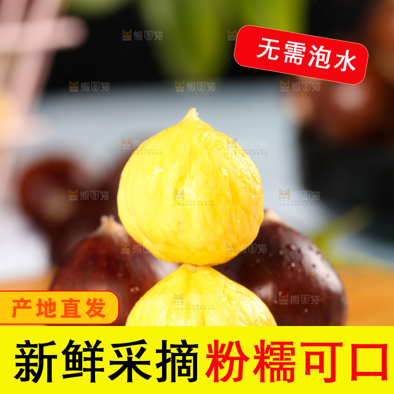木板上的锥栗