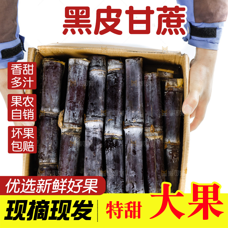 手上端着一箱广西黑皮甘蔗