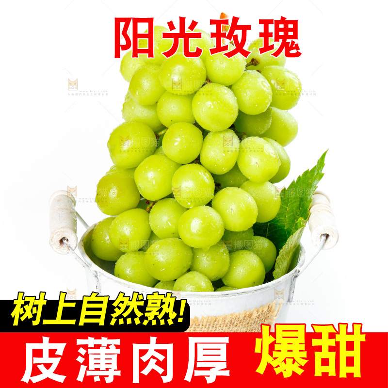 白底上桶里的云南阳光玫瑰青提