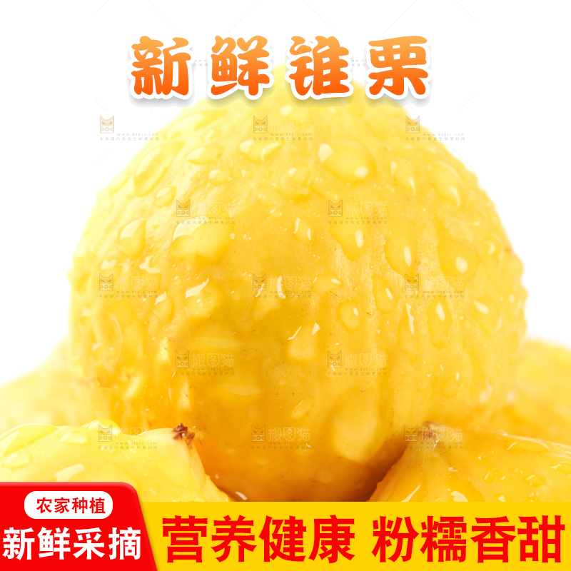 一堆去壳的锥栗仁