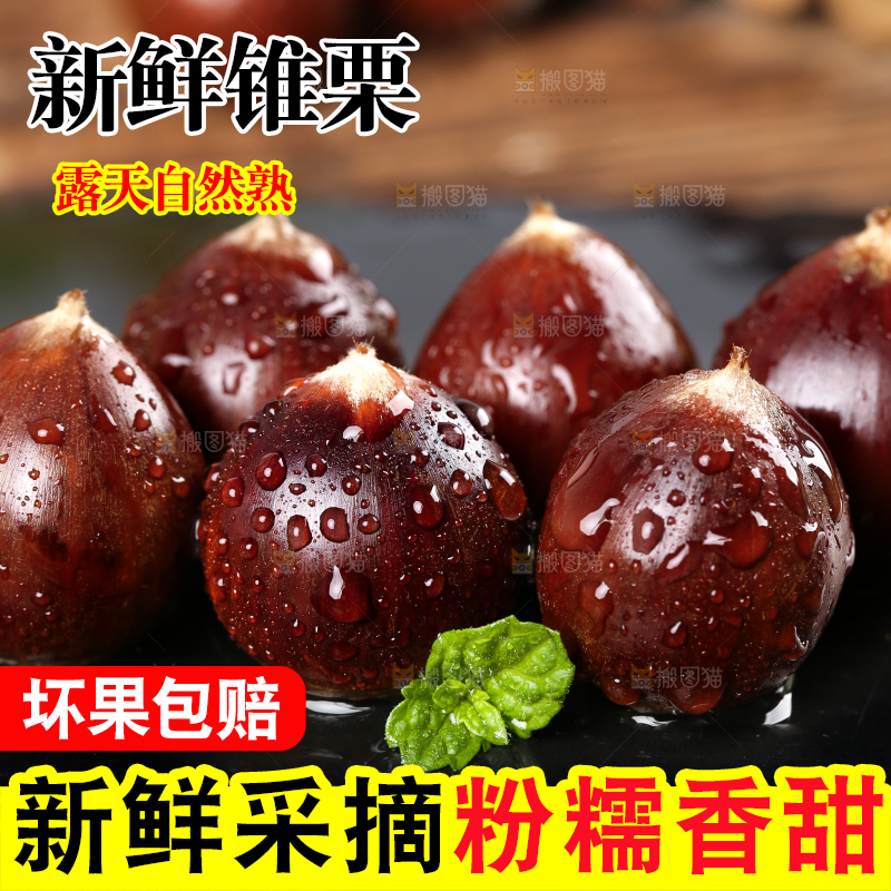 黑底上一堆新鲜锥栗