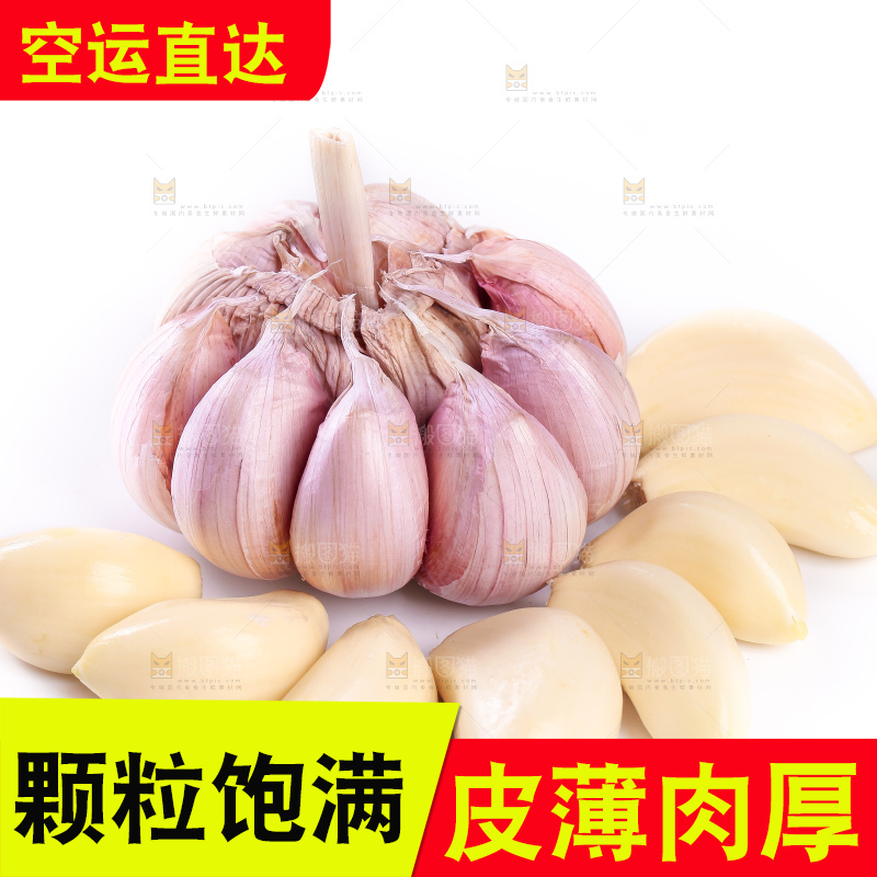 白底上的大蒜头和蒜瓣