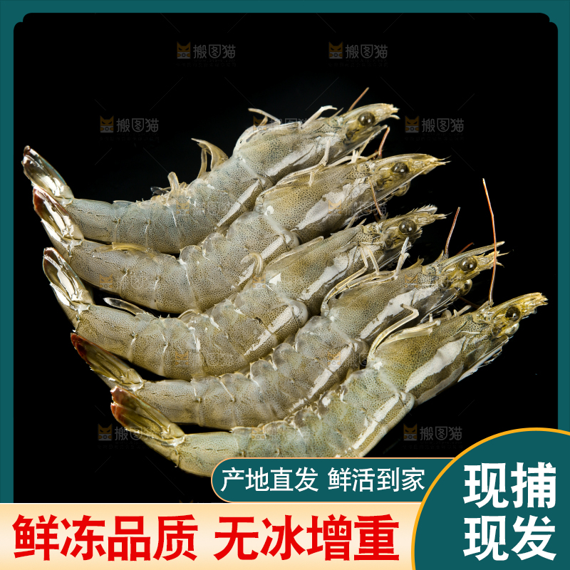 黑底上的青岛大虾