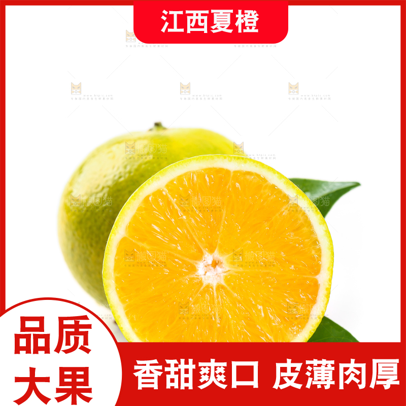 白底上的夏橙和禇橙果肉