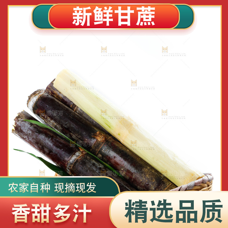 白底上放着一篓海南甜甘蔗