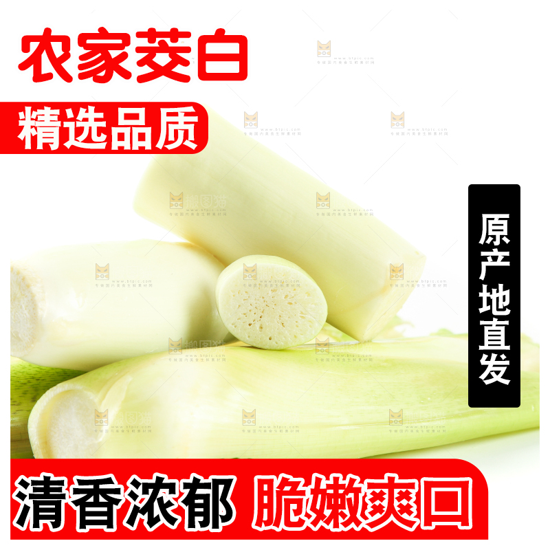 白底上放着一堆湖北新鲜茭白