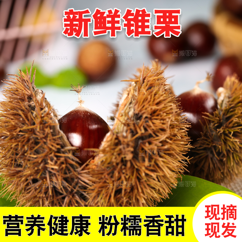 格子底上放着板栗