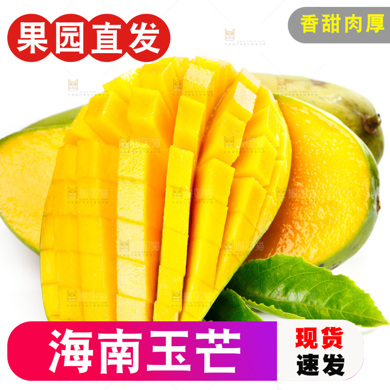 白底上的玉芒果
