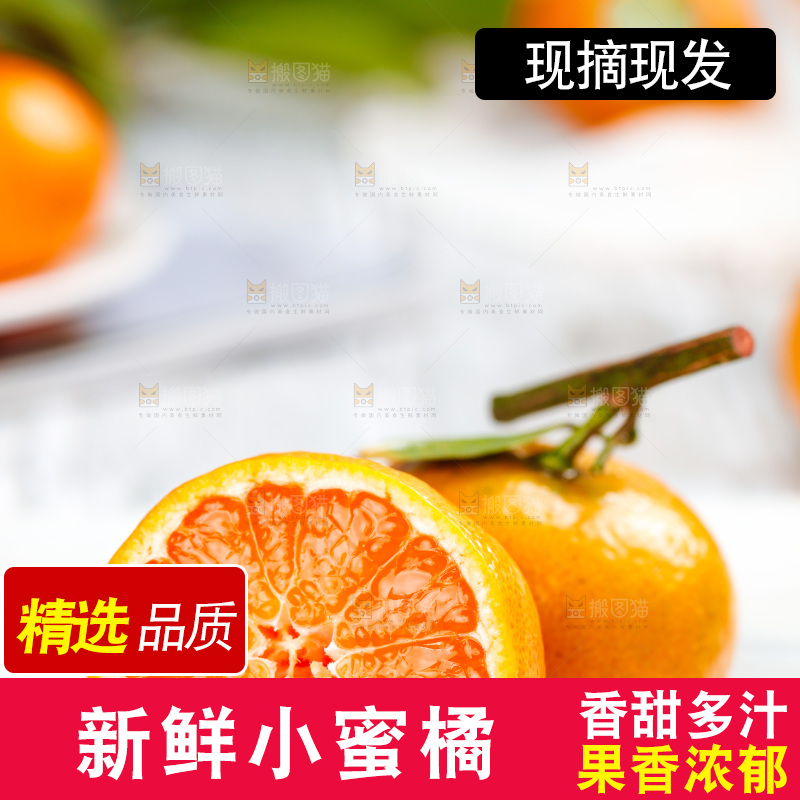 白底上的广西砂糖橘