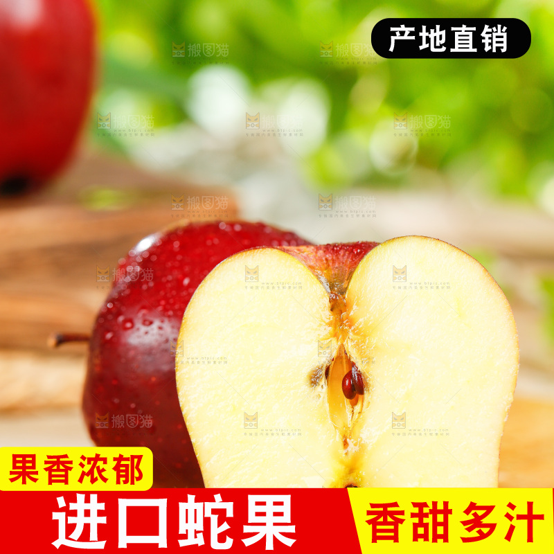 木底上的甘肃花牛苹果