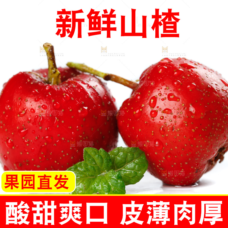白底上的山楂果