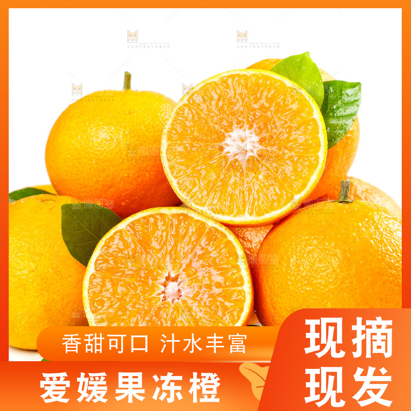 白底上放着一堆四川爱媛