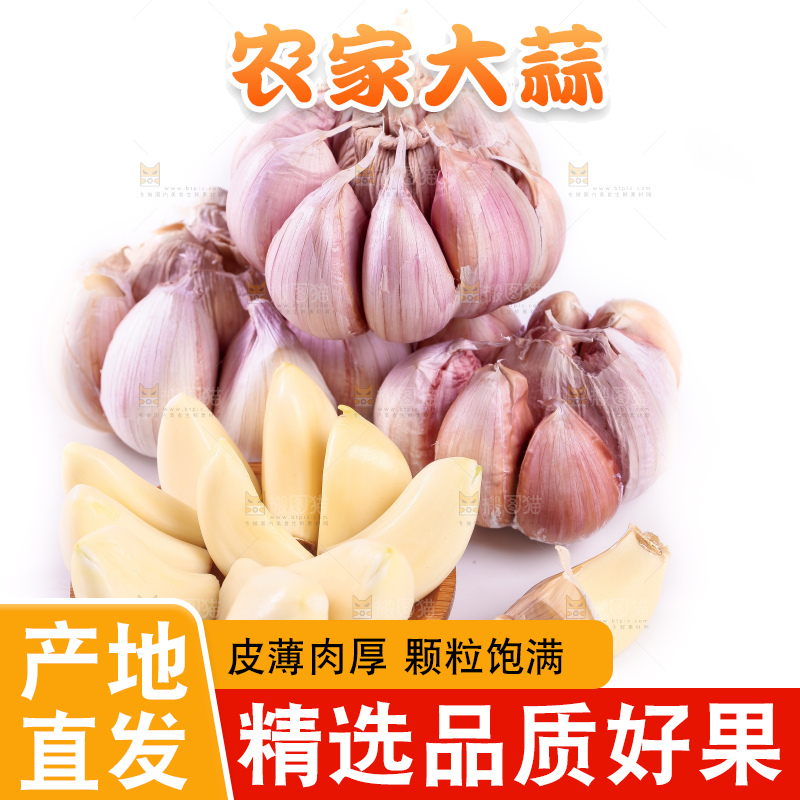 白底上的大蒜