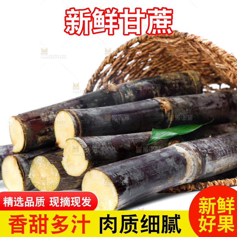 白底上篮子里的甘蔗