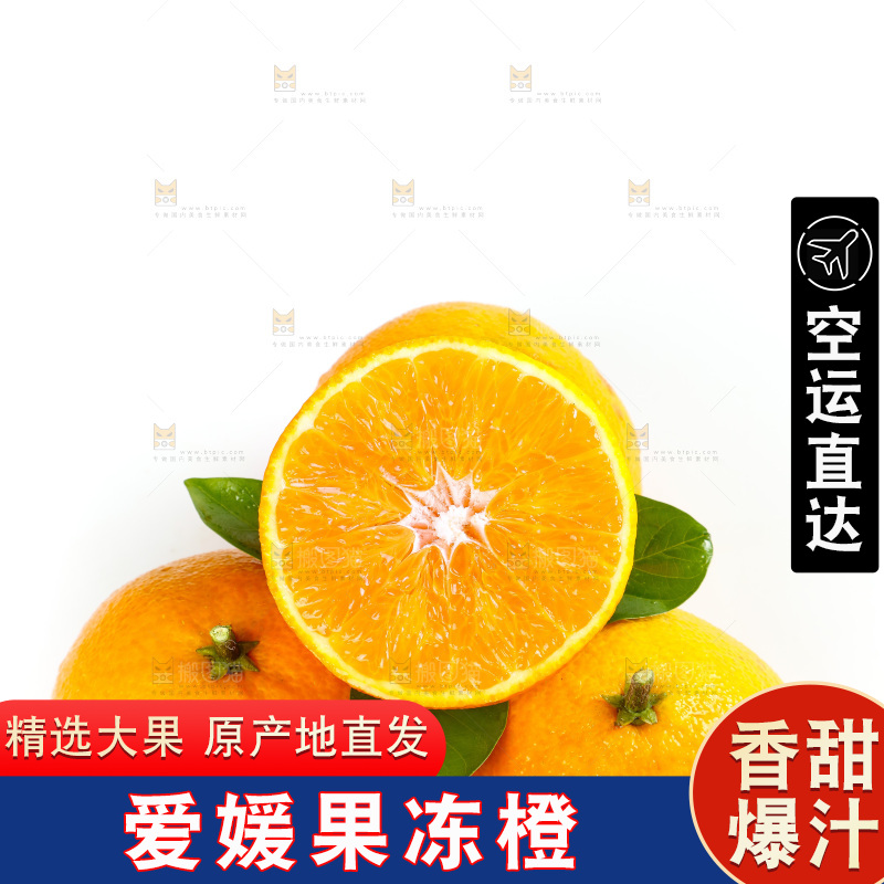 白底上放着一堆四川爱媛