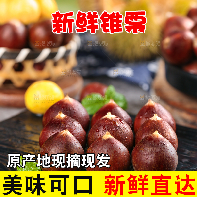 黑底上放着一堆鲜锥栗