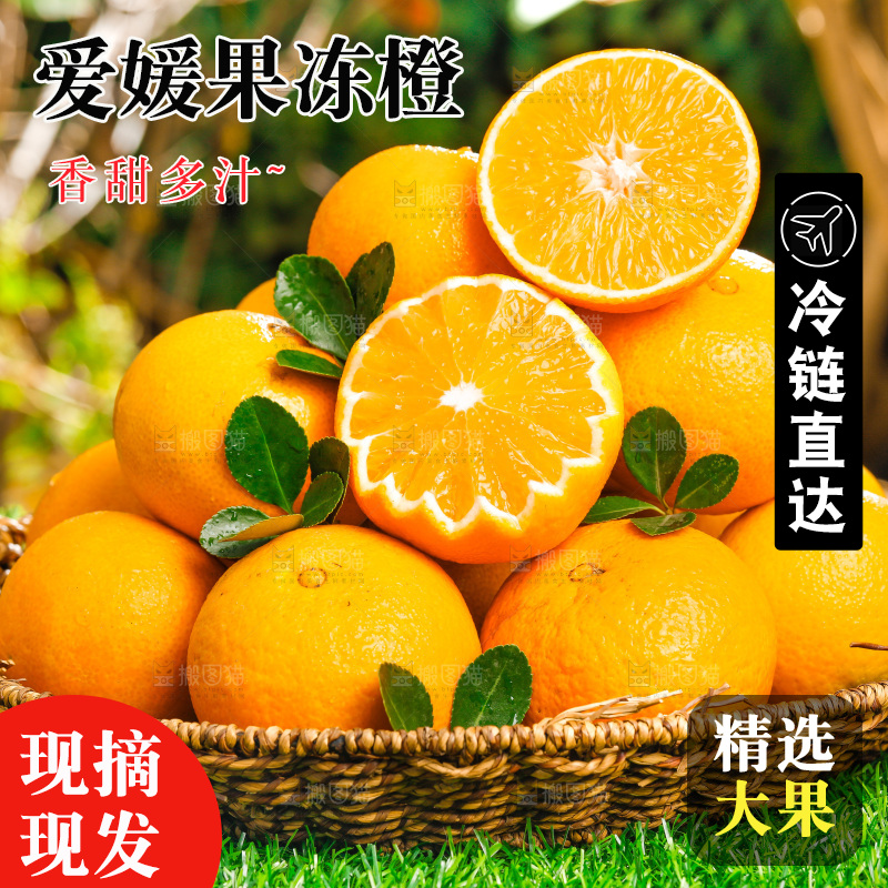 绿色草坪上放着一篮爱媛桔橙