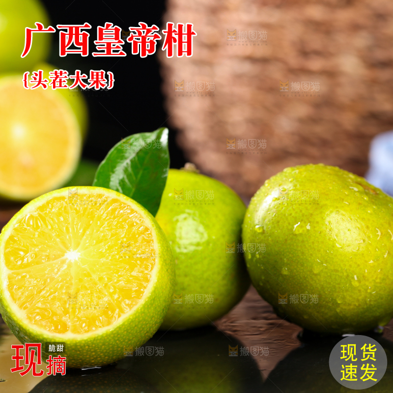 黑底上的皇帝柑
