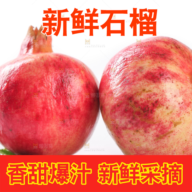 白底上的红石榴