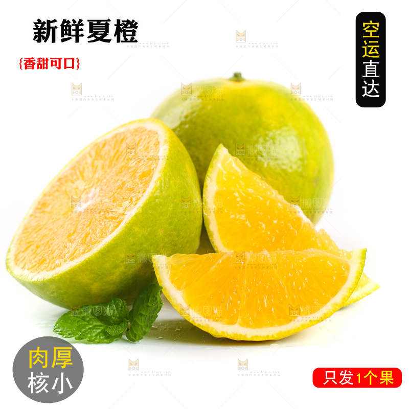 白底上的夏橙和禇橙果肉