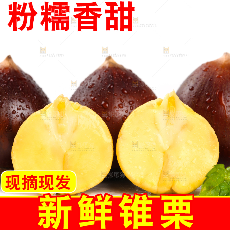 白底上的栗子和锥栗仁