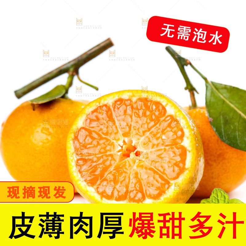白底上的小蜜橘和蜜桔果肉